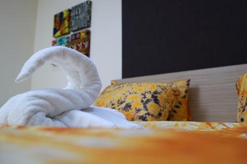 pictures_for_esther_433a39271724158021776