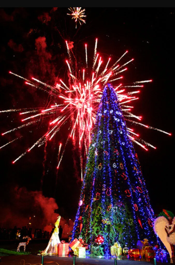 Christmas in Calabar 2025