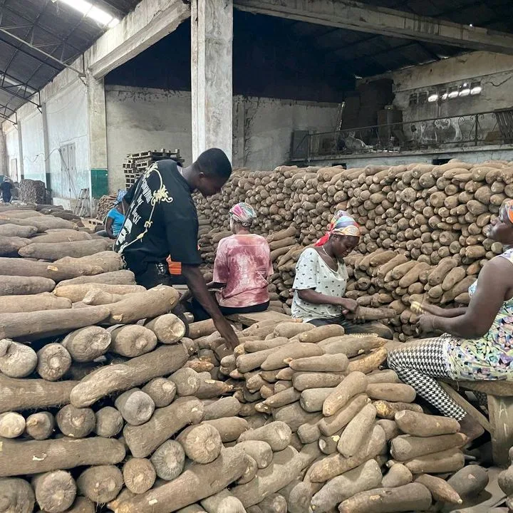 Yam Market