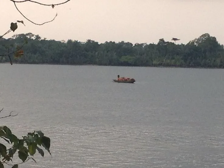 Calabar River